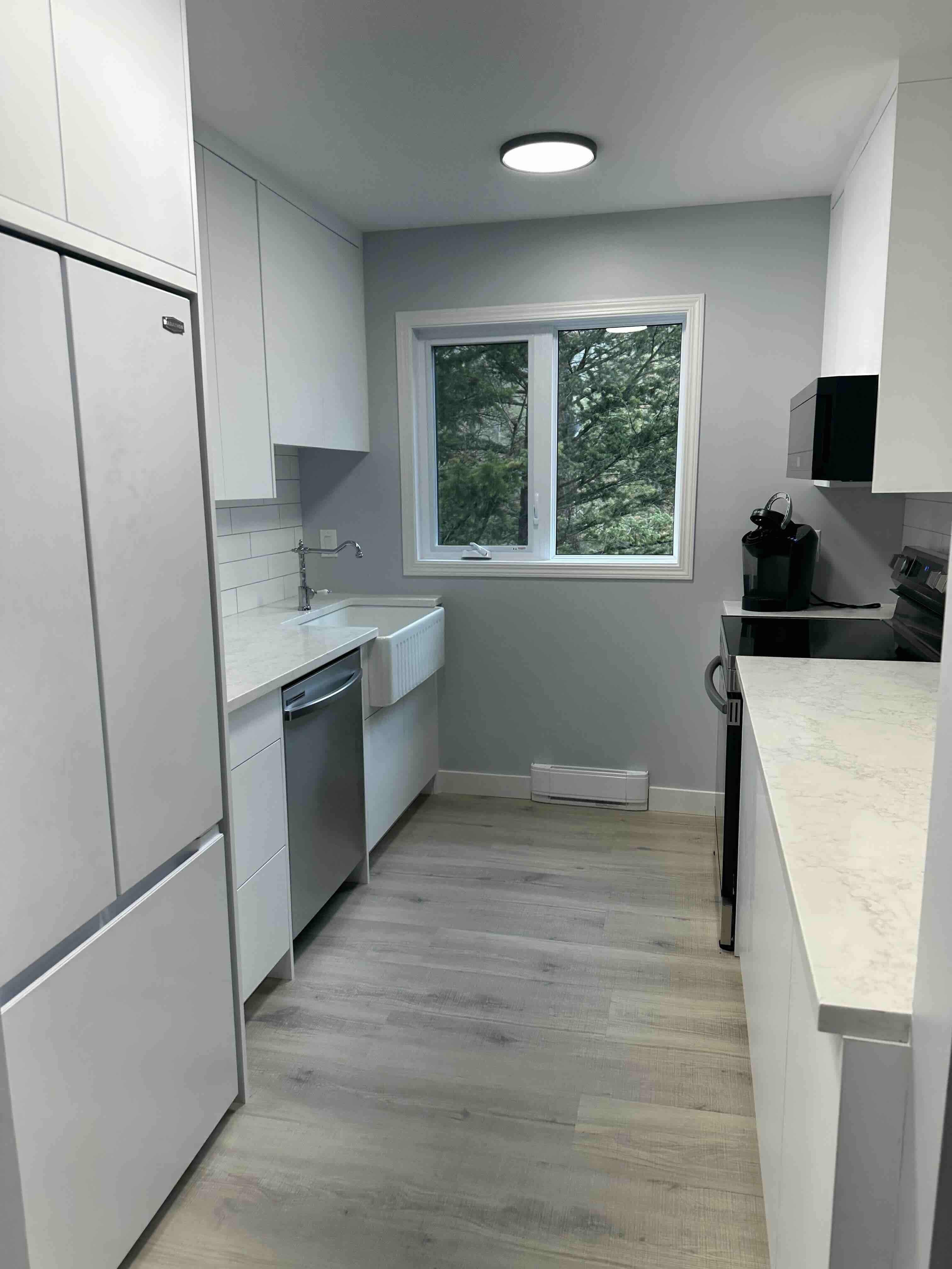 Contemporary Kitchen Remodel